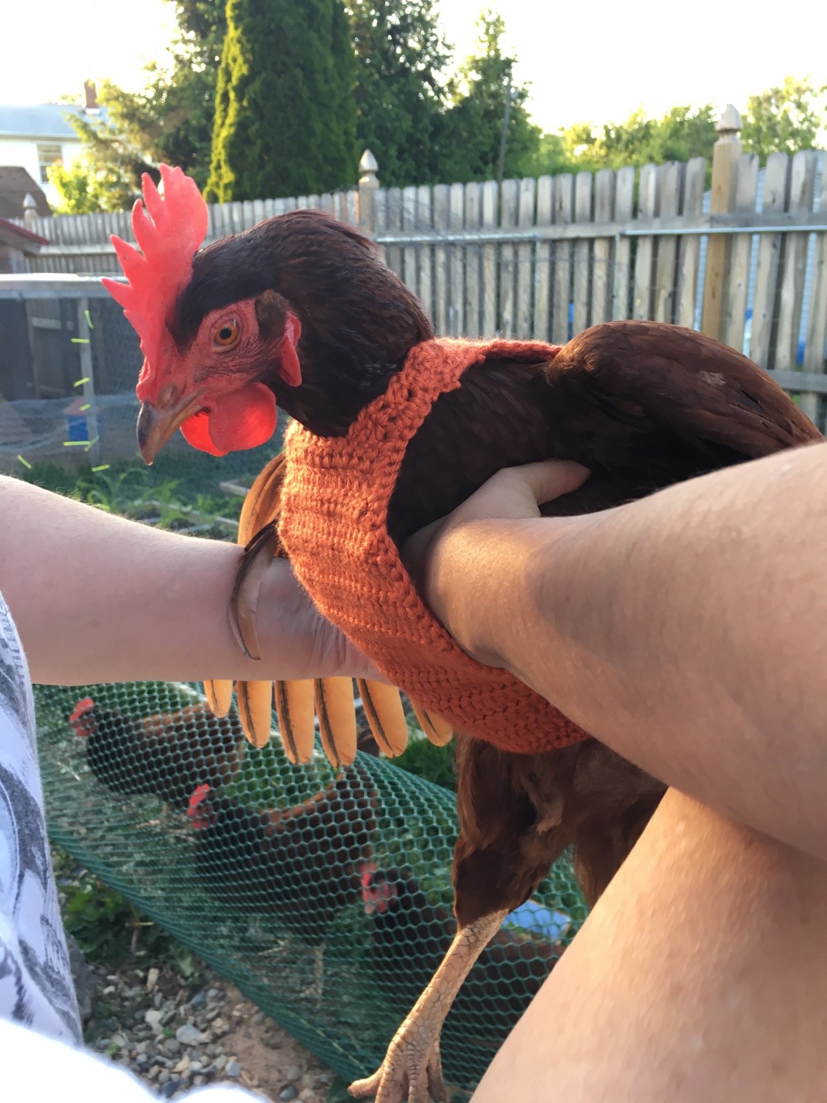 Handmade Crocheted Chicken Sweater