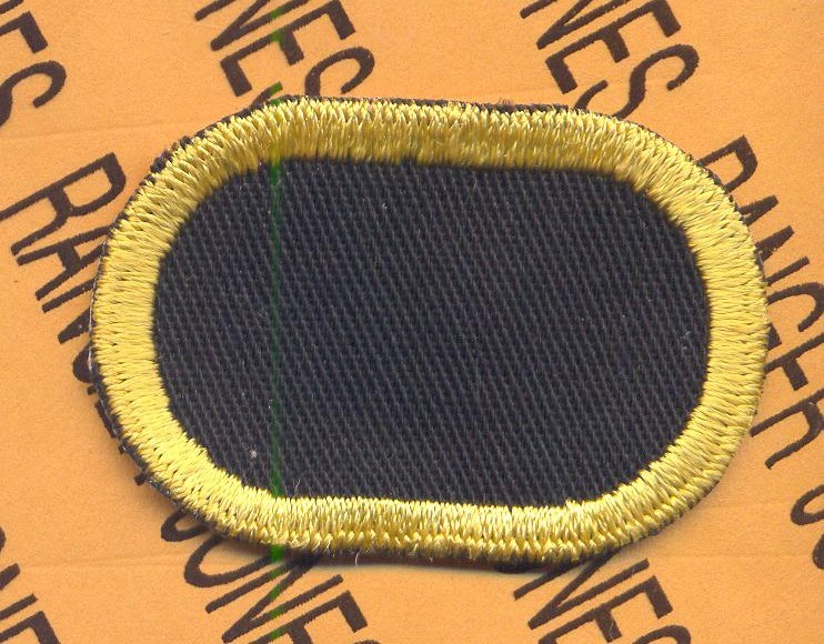 US Army 327th Airborne Infantry Regiment Air Assault para oval patch c/e