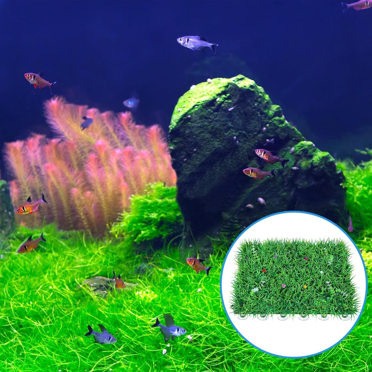 Paquete de 20 ventosas con 40 bridas para decorar peceras de acuario y nidos de