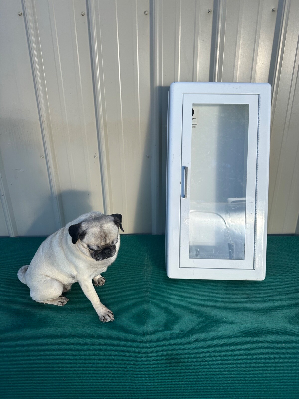 JL Industries Fire Extinguisher Cabinet  Steel Construction Vertical Window 27"