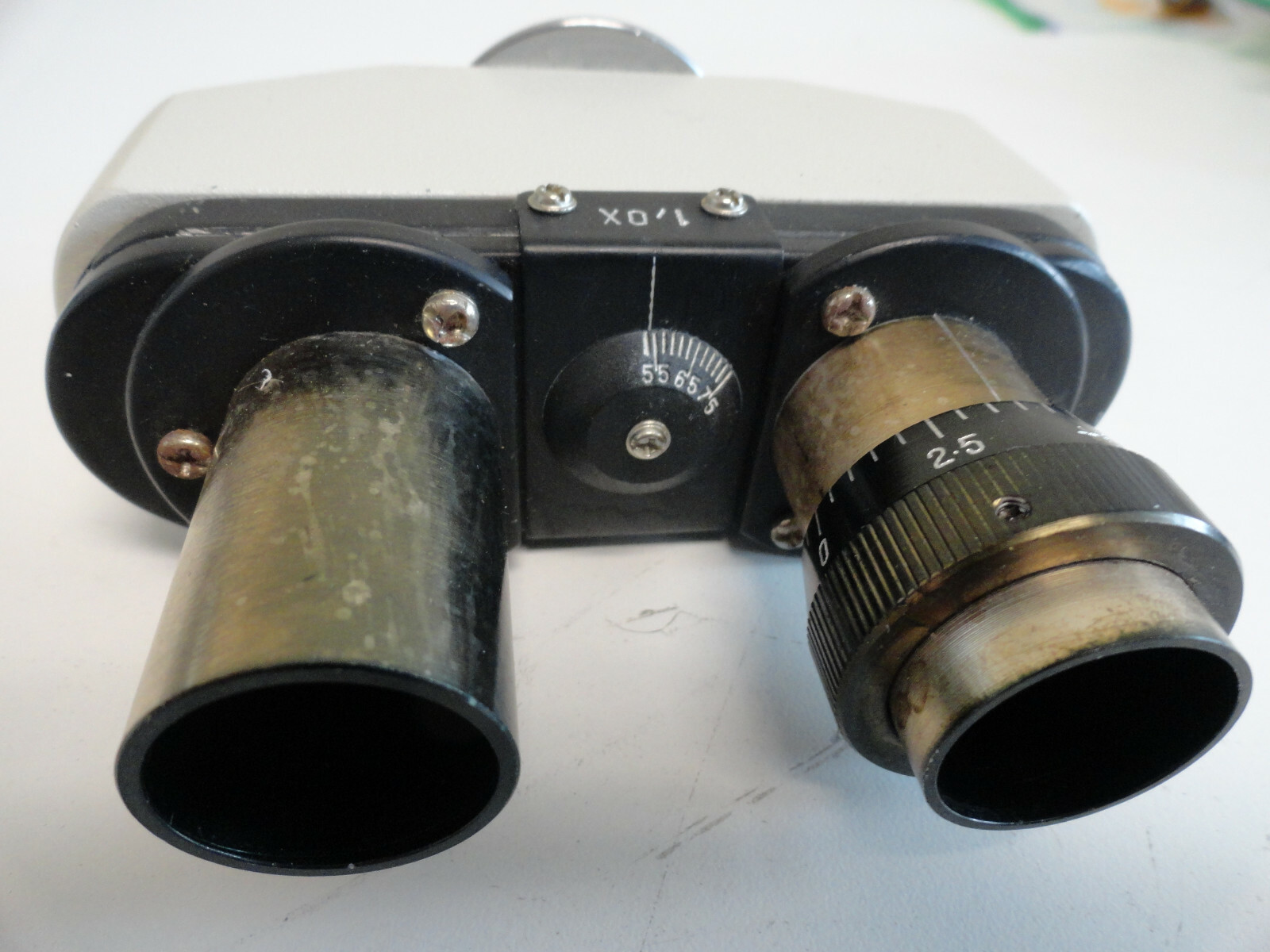 SS8: Inverted Tissue Culture Microscope Head