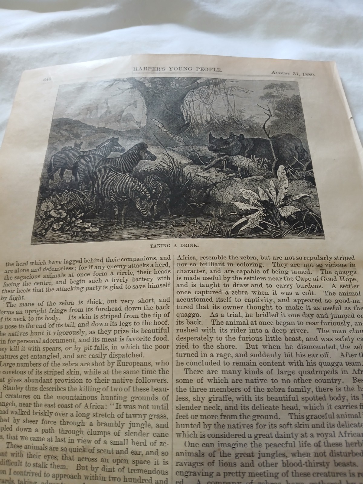 1880 Harper's young people  engraving   free shipping in USA