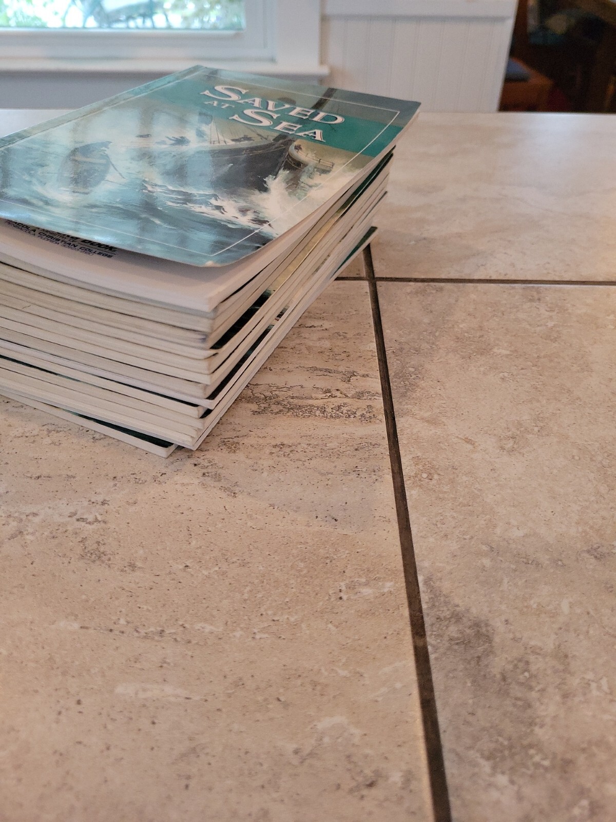 Abeka Saved at Sea 4th grade Novel Homeschool Reader