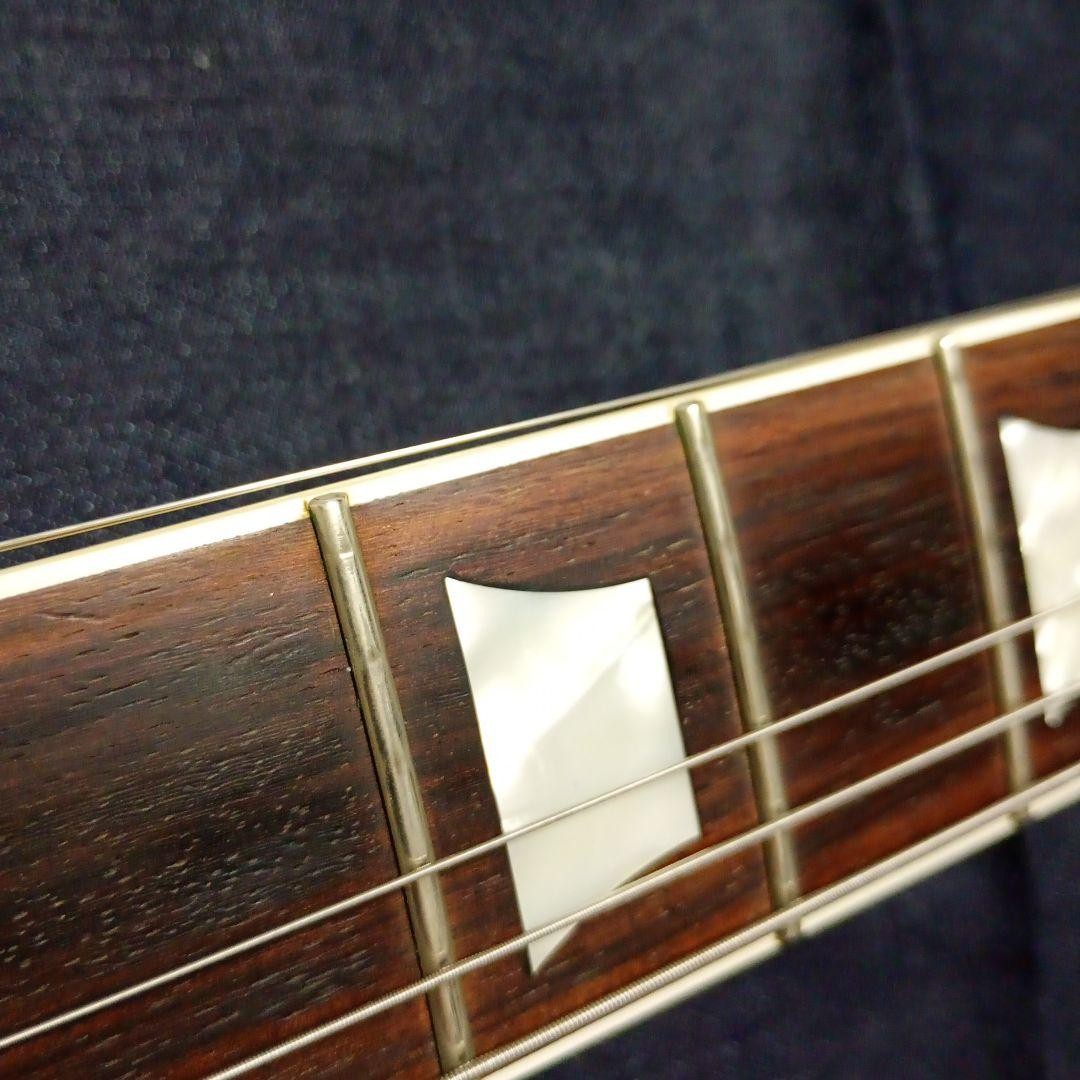 Coolz ZSG-1 Fujigen Made 2013 Model