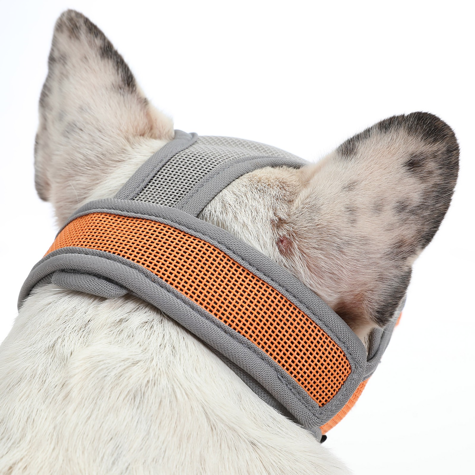 Dog Muzzle Breathable Mesh For Short Snout Dogs Prevent Biting Barking LJNN