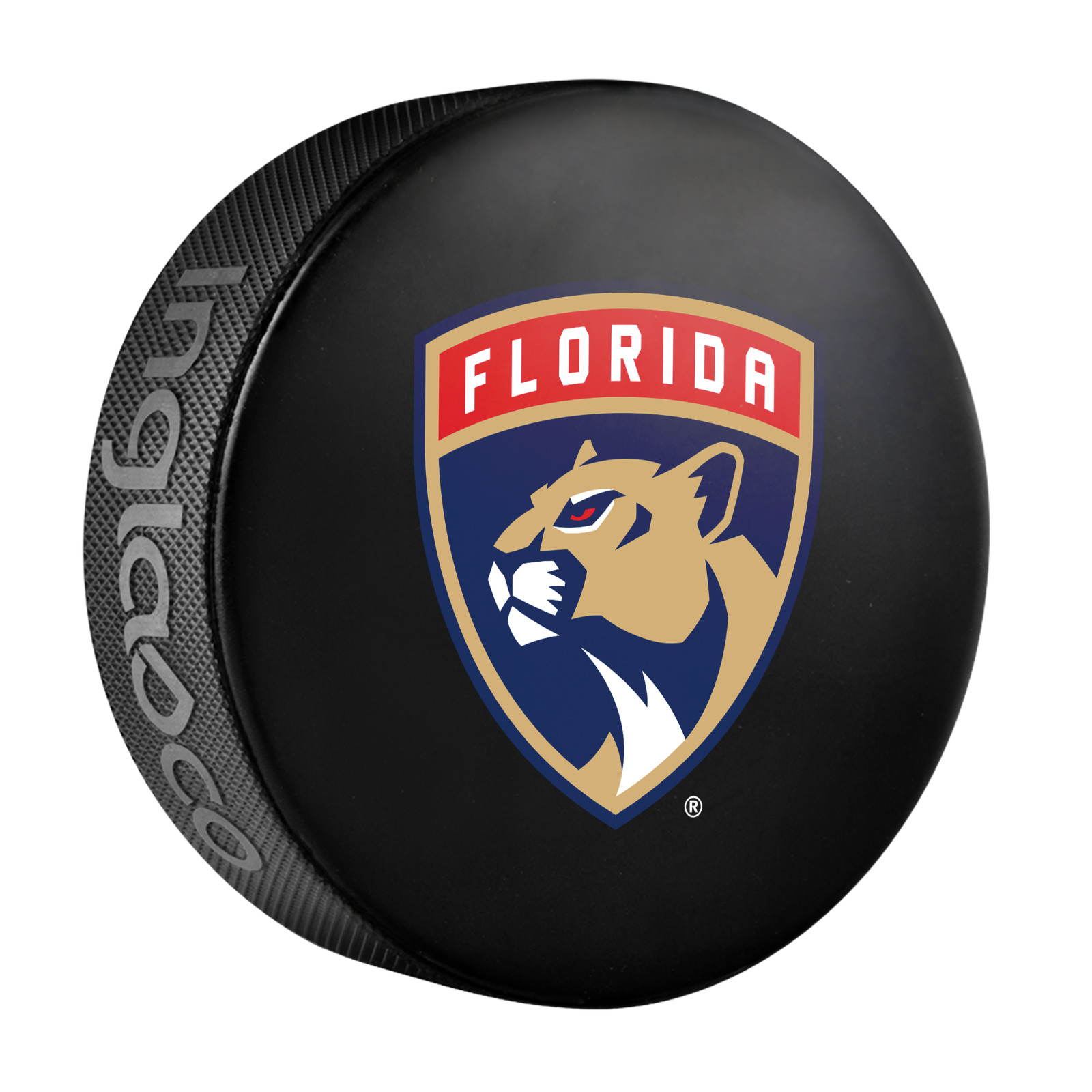 Inglasco Souvenir Puck - Florida Panthers