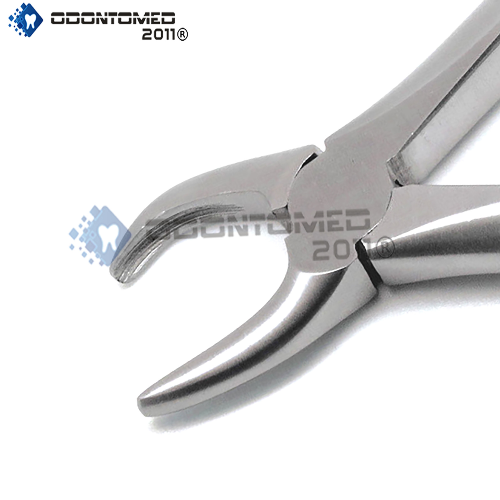 Dental Tartar Forcep 4.5" Calculus Remover Tooth Scraper Veterinary Instrument