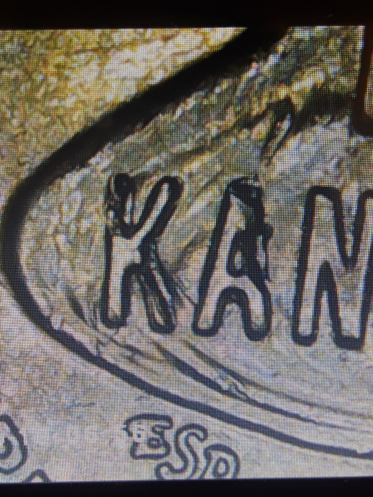 2023-P American Women Quarter Edith Kanaka'ole Die Chips on the K&A And Nose