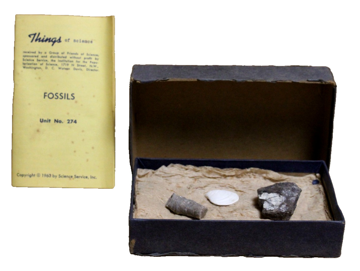 1963 THINGS of Science FOSSILS Unit No 274 by Science Service included 3 fossils