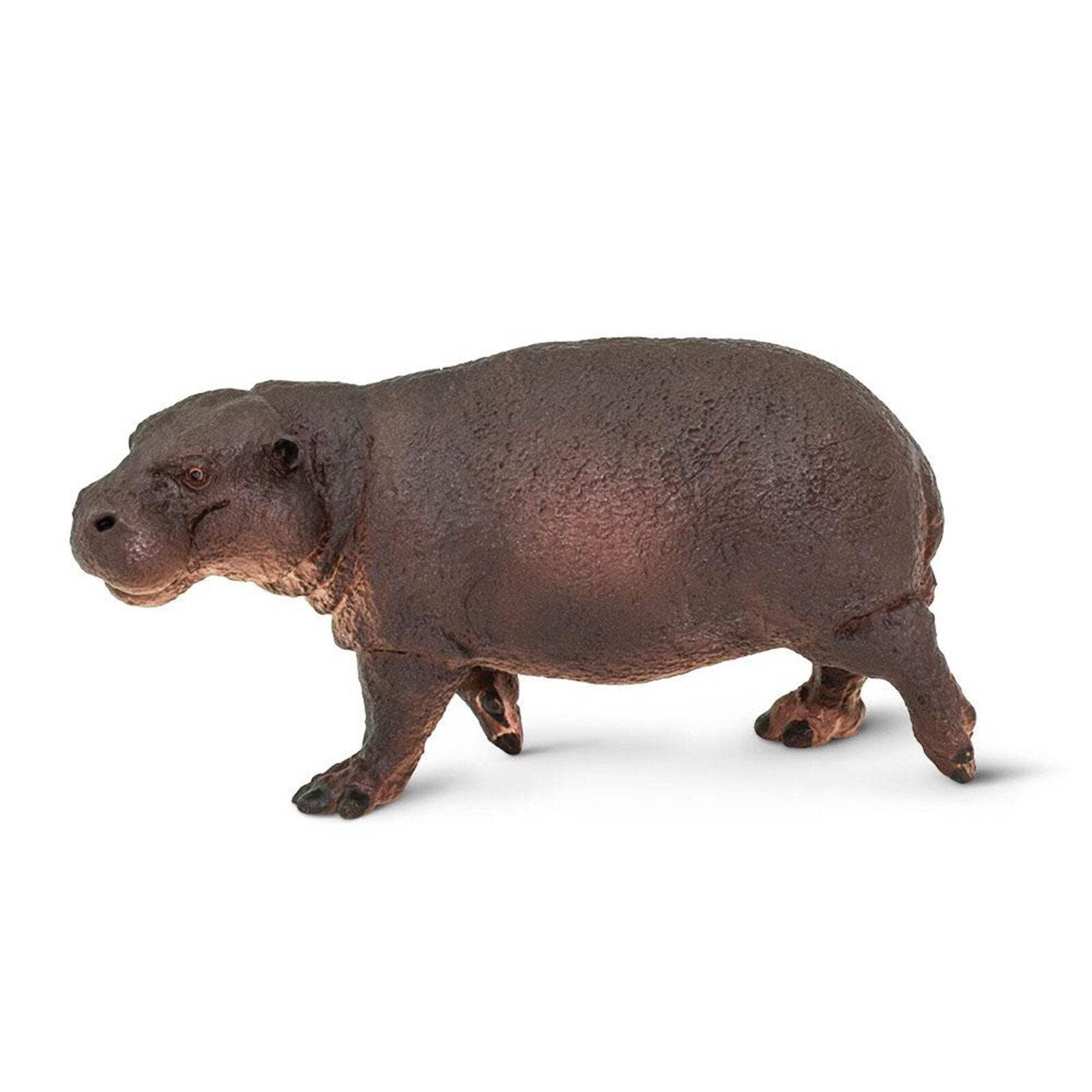 Pygmy Hippo Animal Figure Safari Ltd 229229