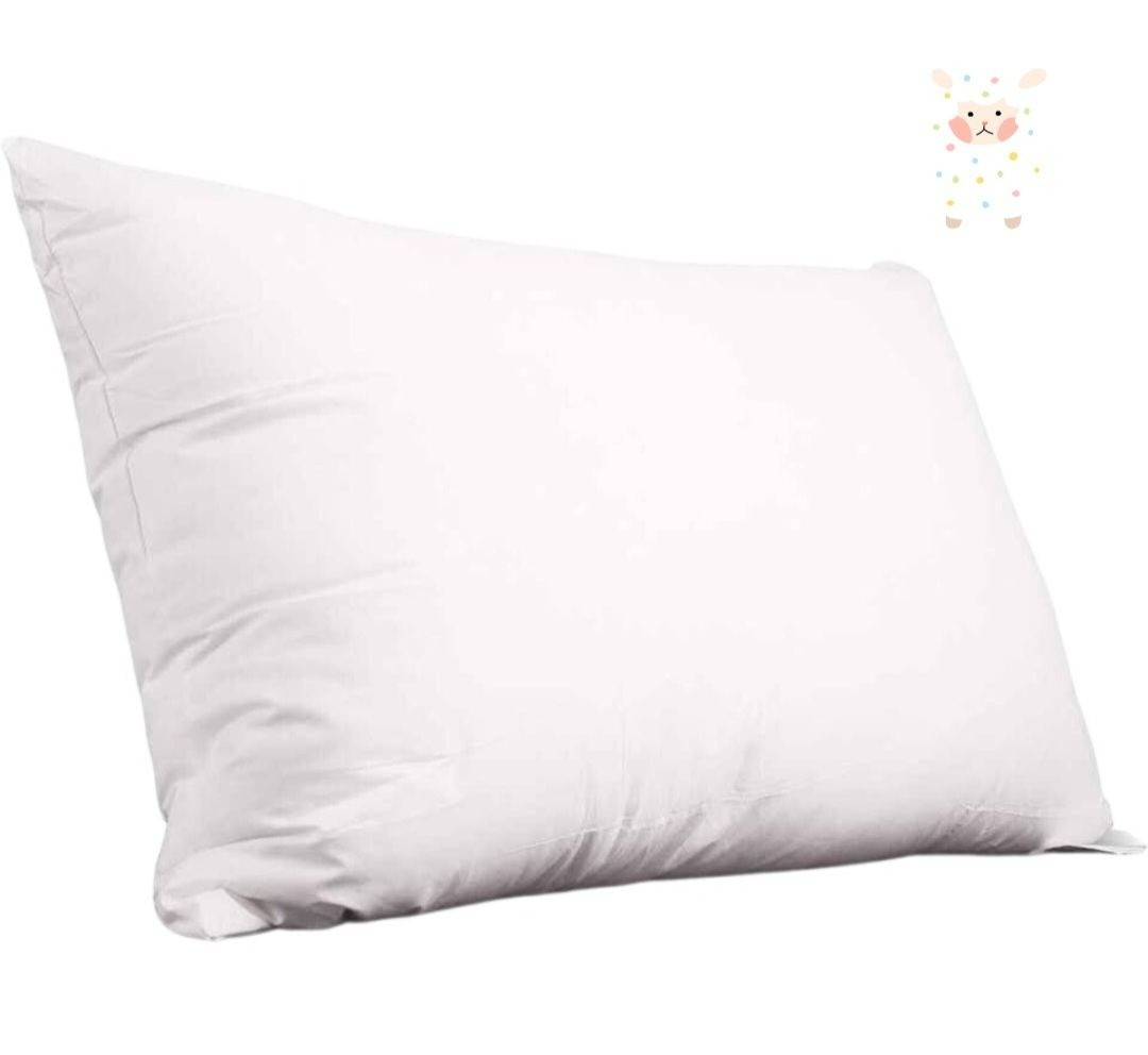 Fluffy and Cozy Edow Luxury Soft Pillows - Set of 2