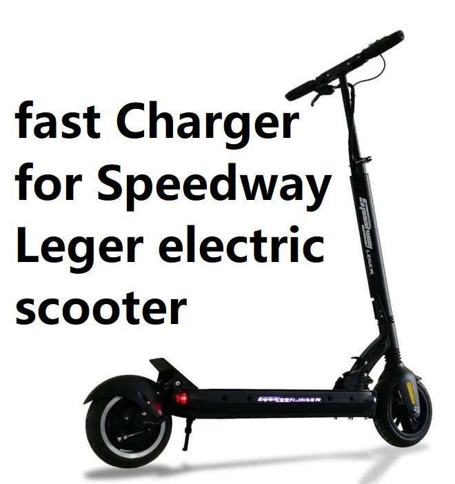🔥power supply fast 3A battery charger for Speedway Leger scooter