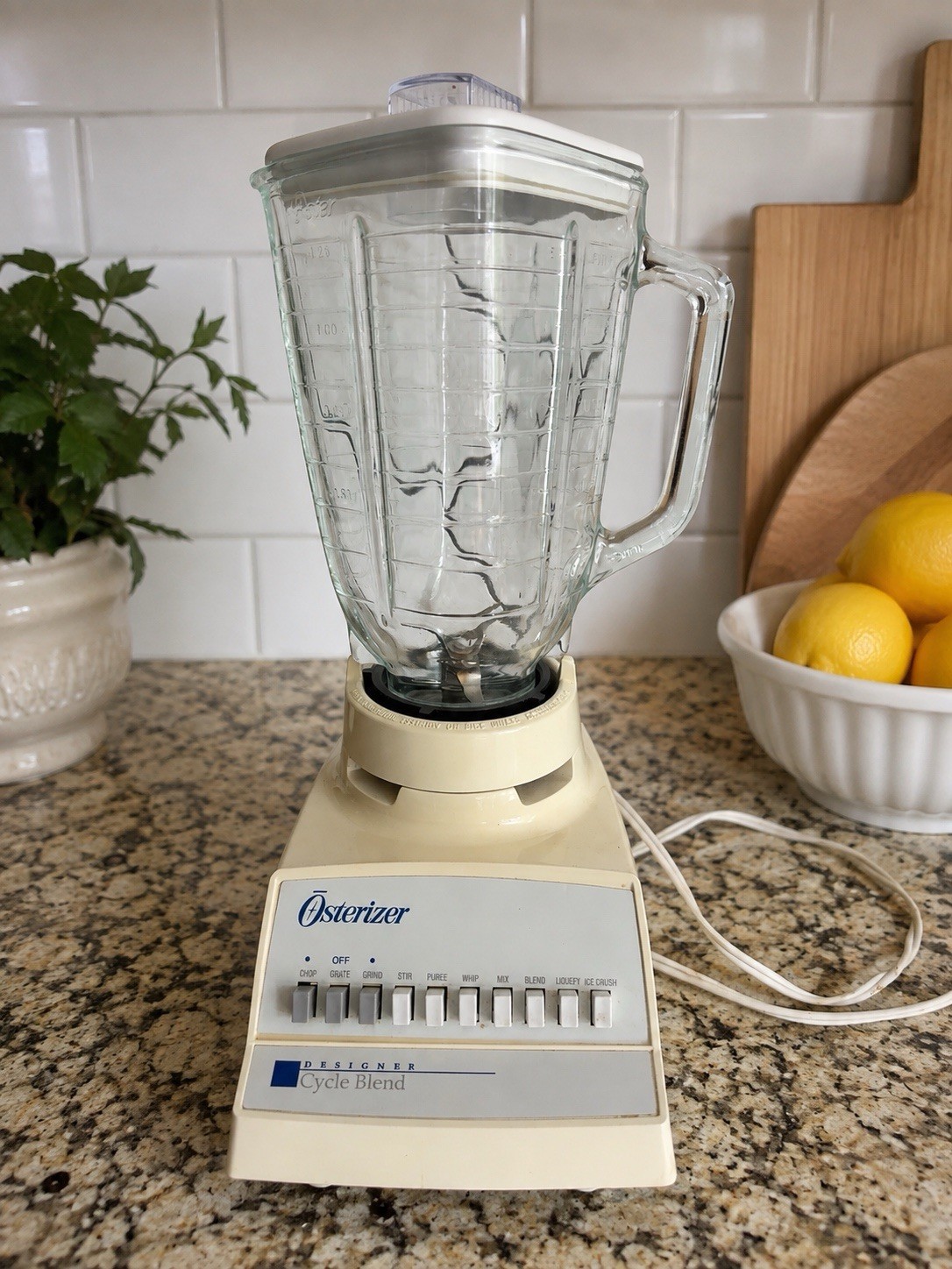 Vtg. Osterizer Designer Cycle Blender 10 Speed #890-20M Glass Pitcher Exc. Cond.