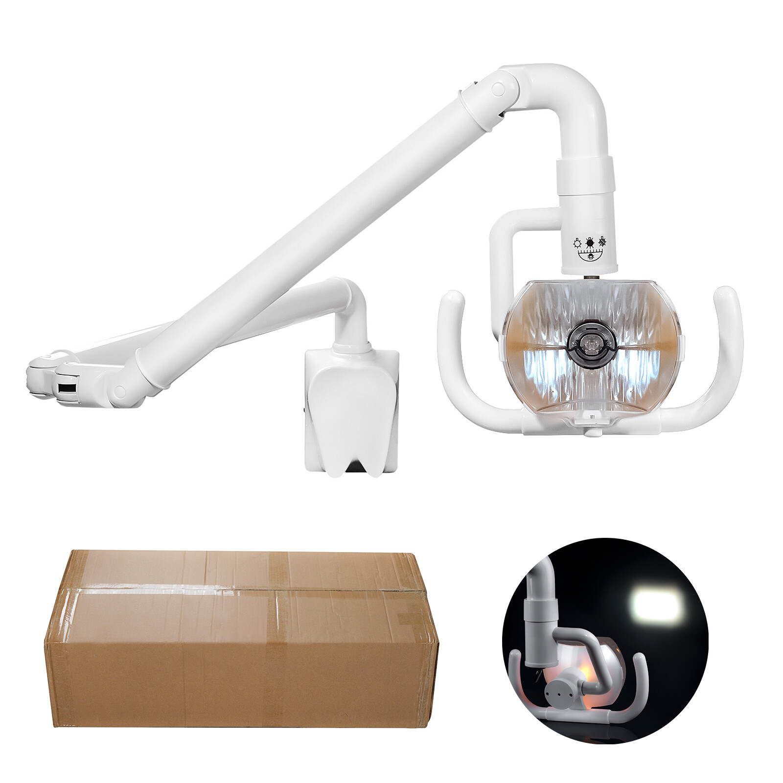 Wall Mounted Dental Shadowless Oral Cold Light Halogen Lamp Medical Exam Light