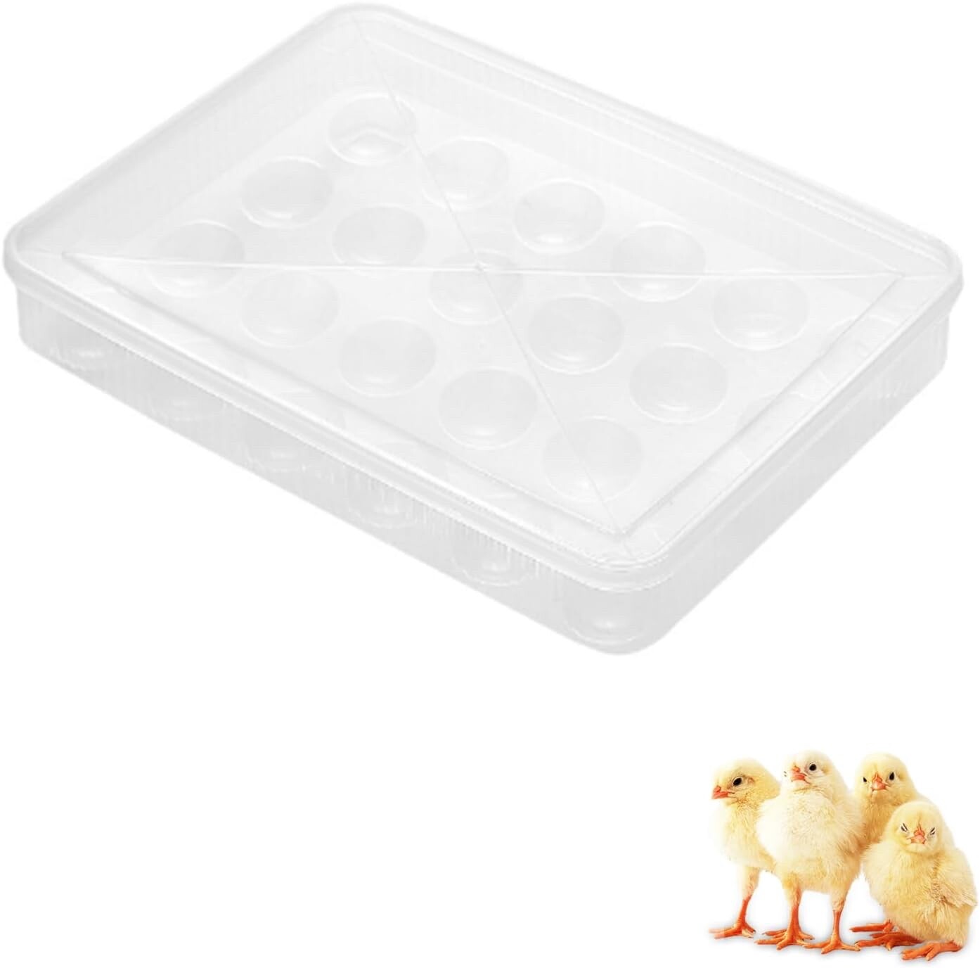 Deviled Egg Containers with Lid  Reusable Egg Tray  (1 Packs, 24 Eggs)-Incubator