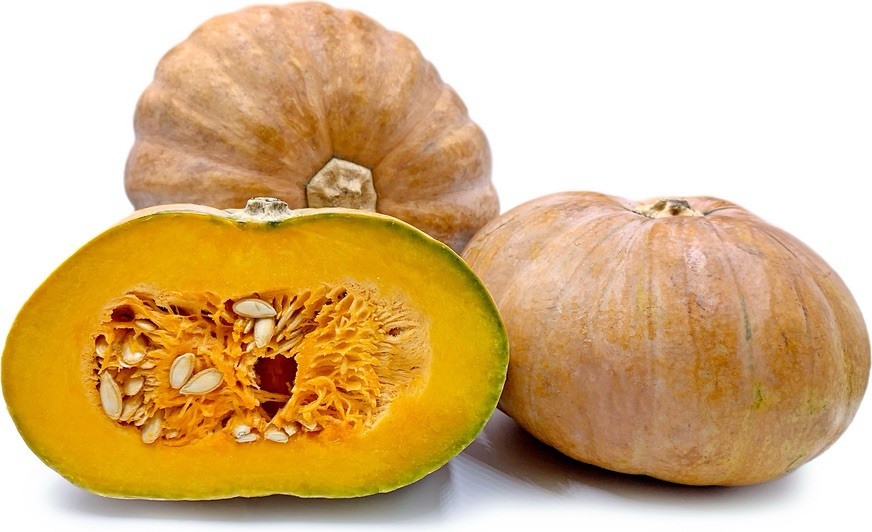 40 Calabaza Pumpkin Seeds | Cucurbita Moschata - Organic