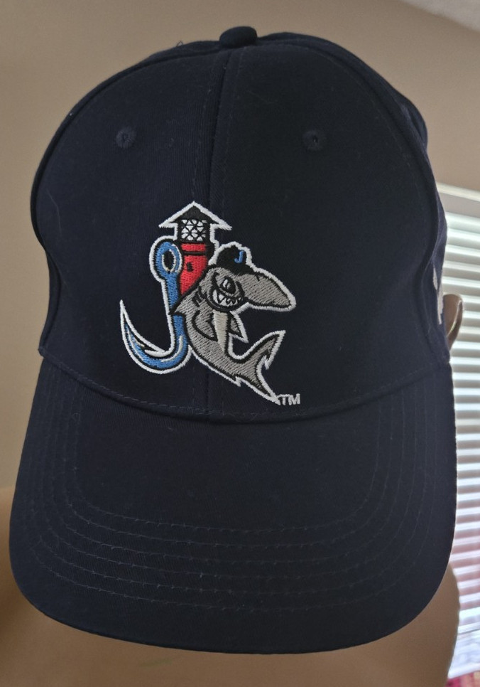 New Rare FamFest Jupiter Hammerheads Navy Blue Unisex Baseball Cap Minor League