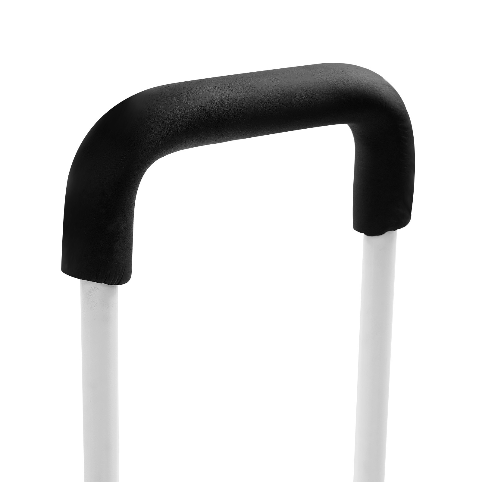 Step Stool with Handle, Adult Ramp with Handrail, Metal Stepping Stool