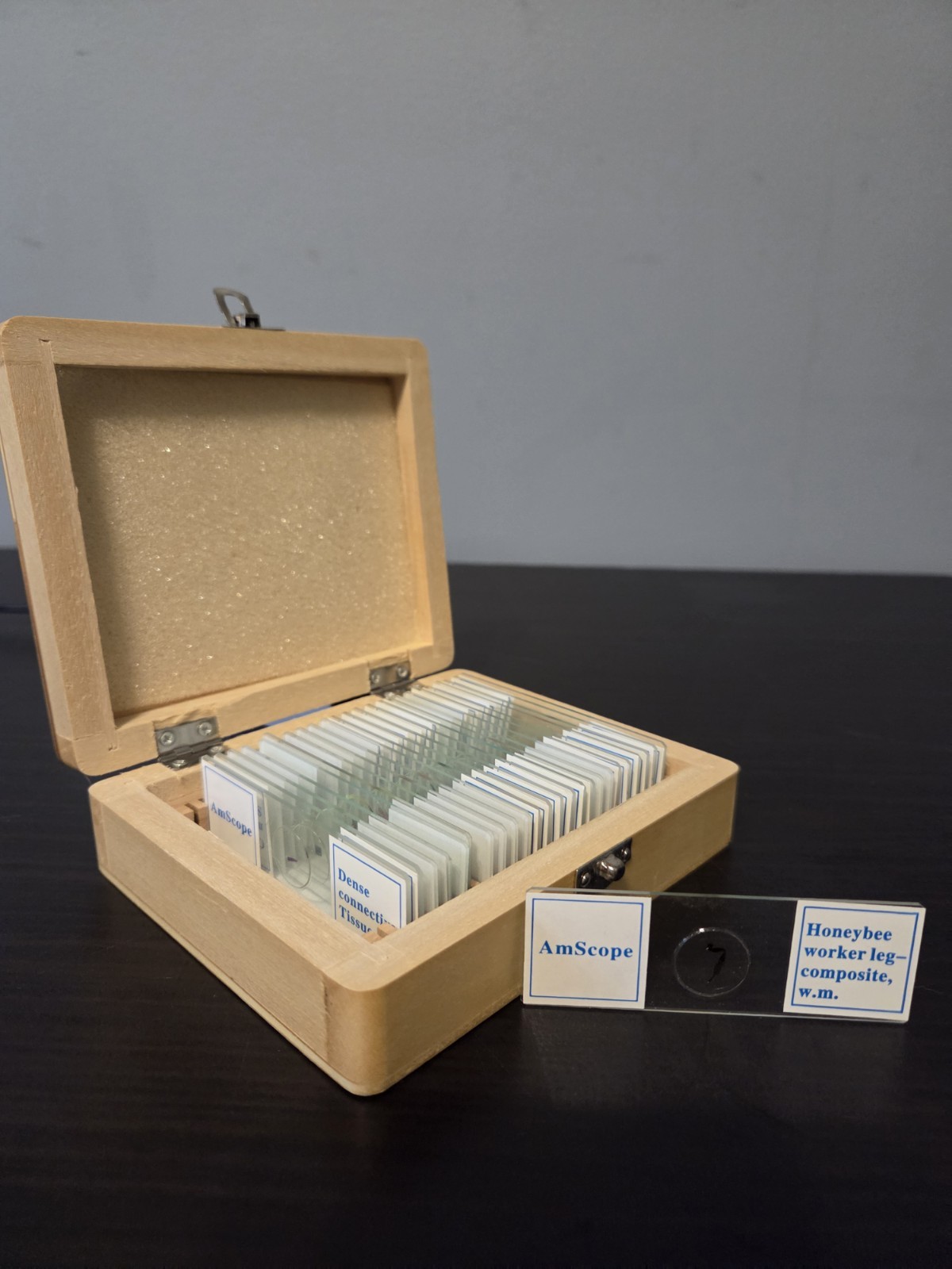 AmScope 25 Prepared Microscope Slide Set Glass and Wooden Case