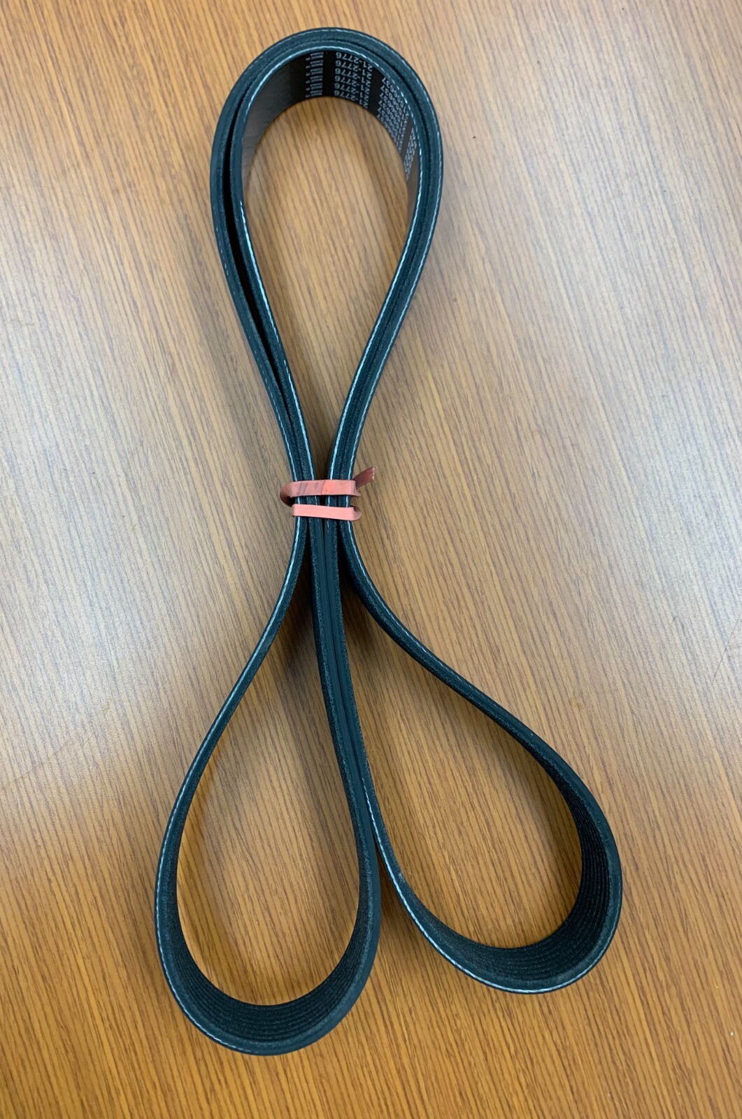 PAI 21556637 SERPENTINE BELT 21-2776