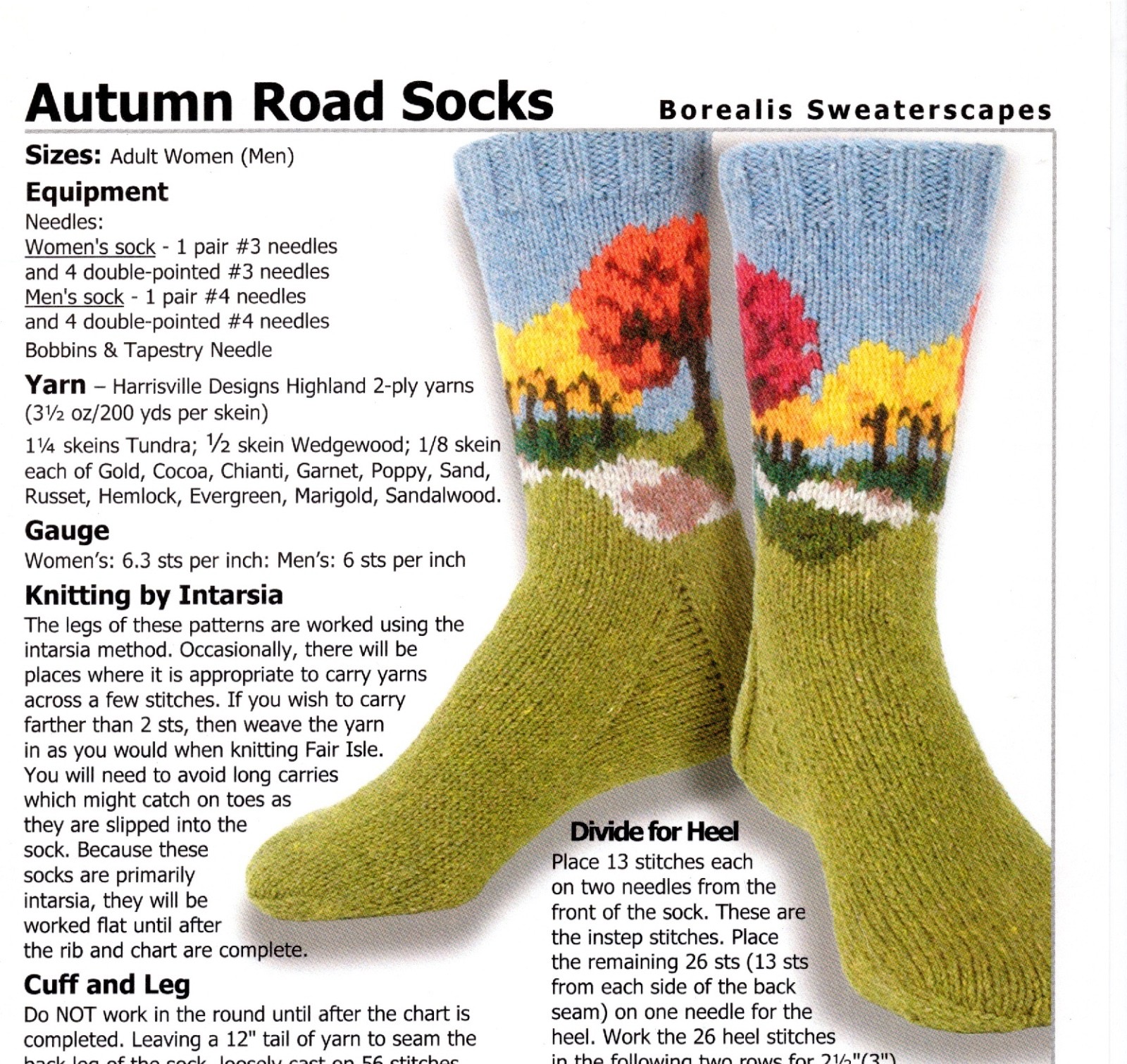 Borealis Sweaterscapes Knitting Pattern - Autumn Road Socks - Women, Men