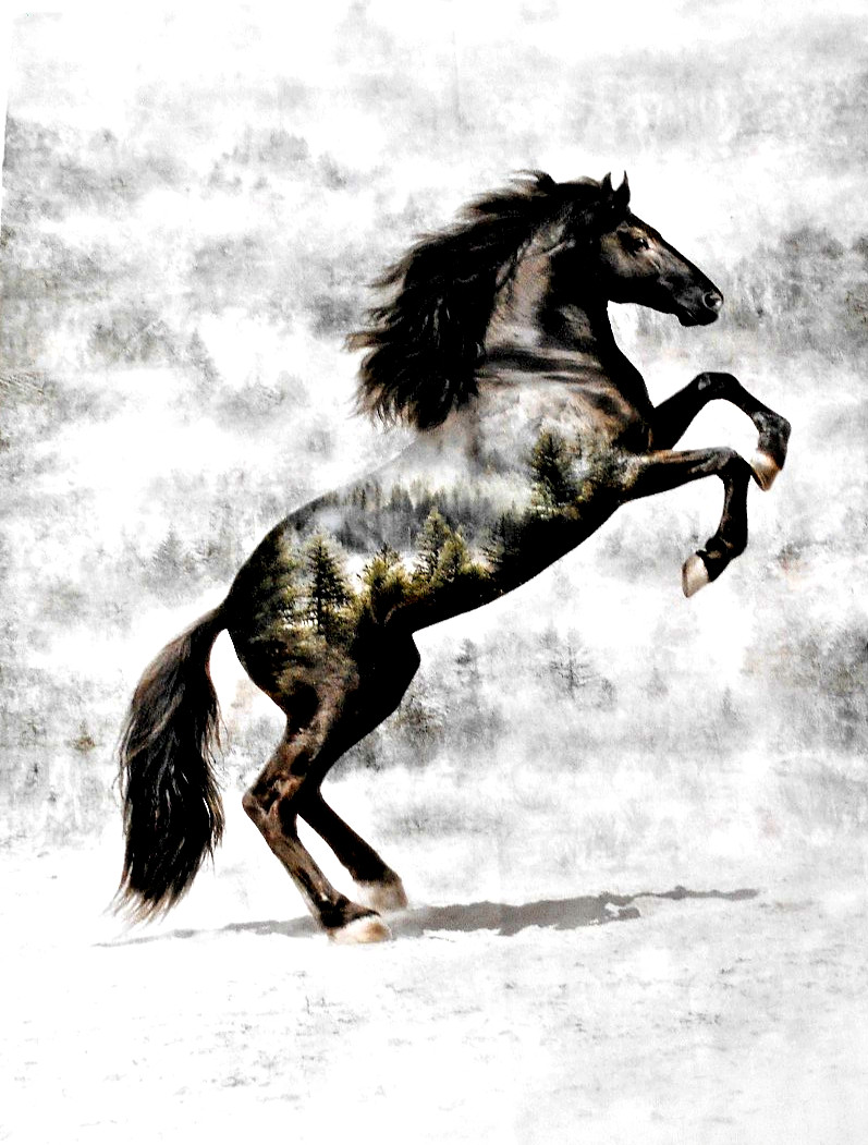HOFFMAN FABRICS "CALL OF THE WILD" THE BLACK  SOLD BY THE PANEL  36:X44" 2 left