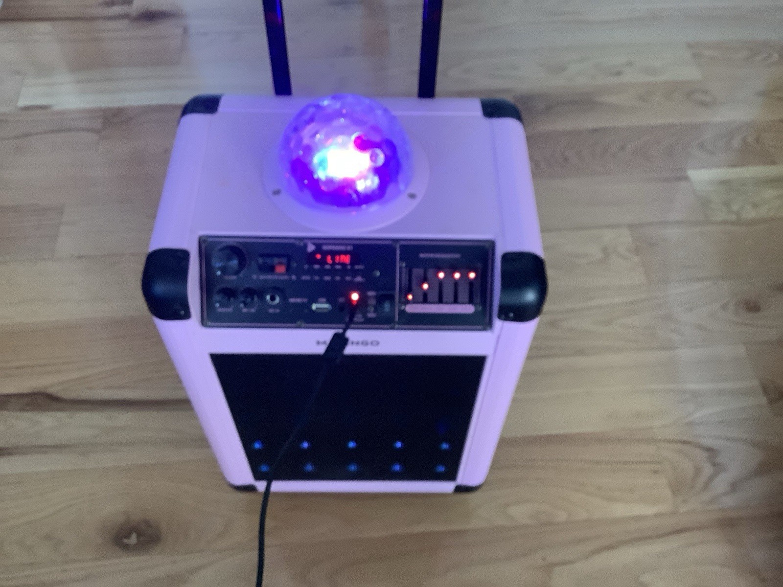 MASINGO Karaoke Machine for Adults and Children (without 1 microphone) Pink