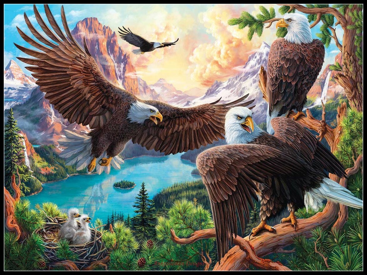 Eagle Dance - Chart Counted Cross Stitch Patterns Needlework DIY DMC Color
