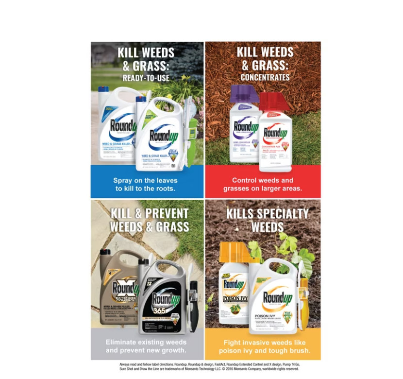 Roundup Concentrate Max Control 365 Weed & Grass Killer, 32 oz., Visible Results