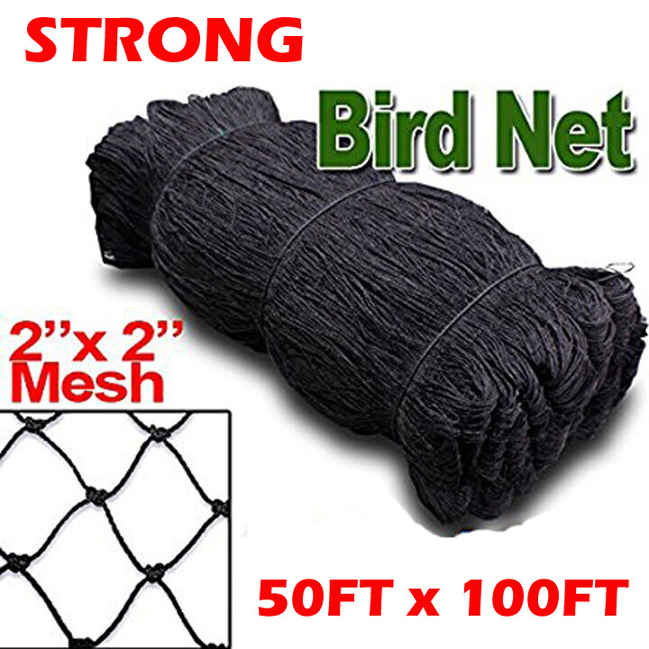 Strong 50ftX100ft Bird Net Netting For Bird Poultry Avaiary Game Pens 2" Hole