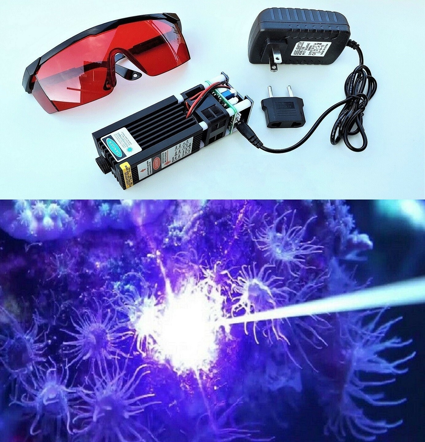 Special Laser 6 WATT For Saltwater Aquarium Aiptasia & Majanos Killing Removal