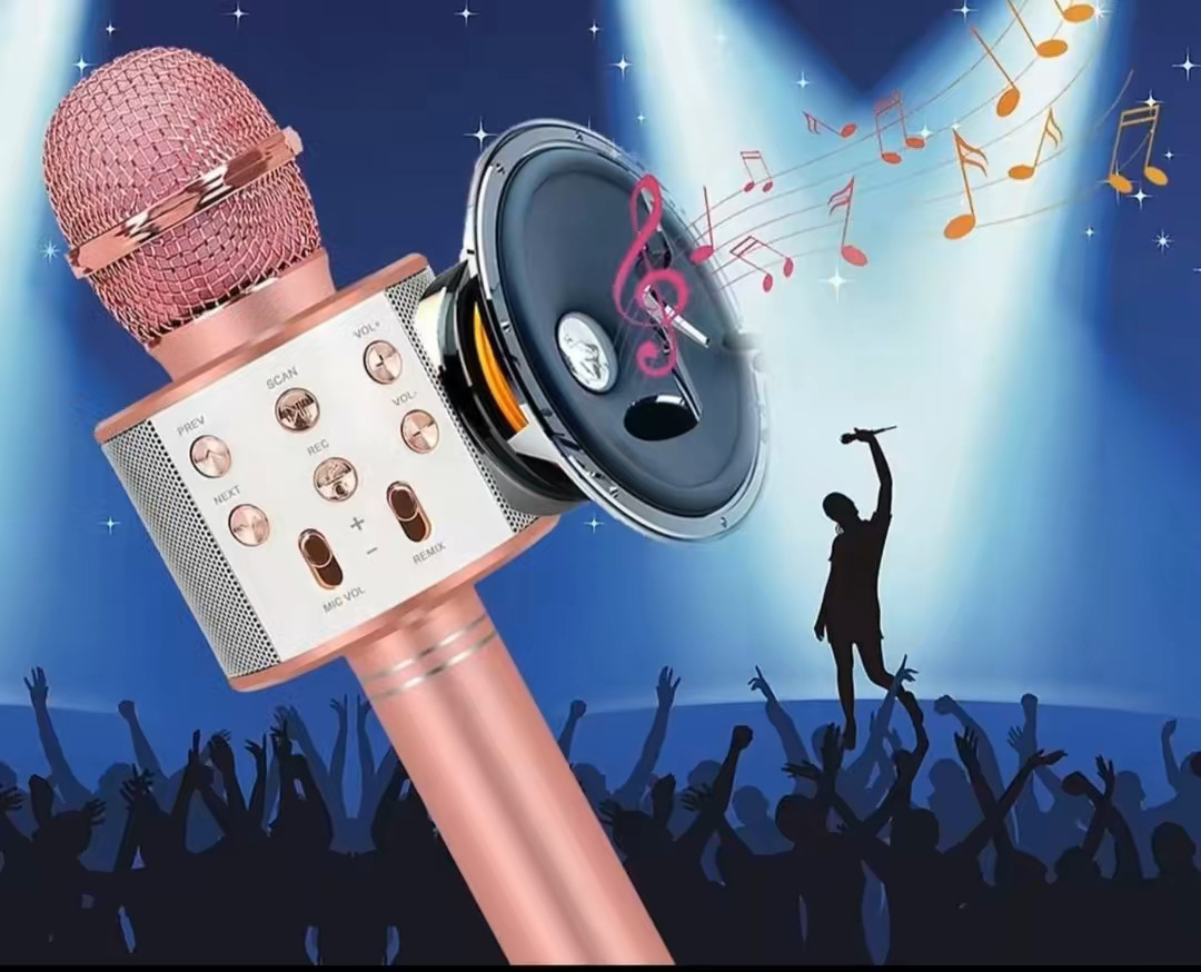 ShinePick Karaoke Microphone, 4 in 1 Wireless Microphone with LED Lights Handhel
