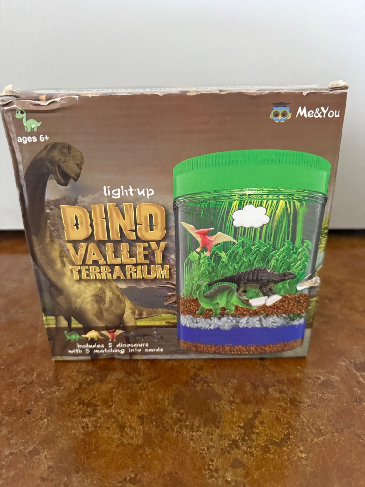 Me & You Light Up Dino Valley Terrarium Brand New Free Shipping