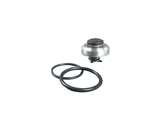 ProSource 504163 Inlet Valve Assembly