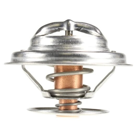 248-160 Thermostat