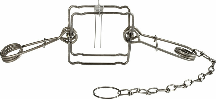 3 Duke 155 Body Grip Traps 0415 Trapping Groundhog Fisher Raccoon Nuisance