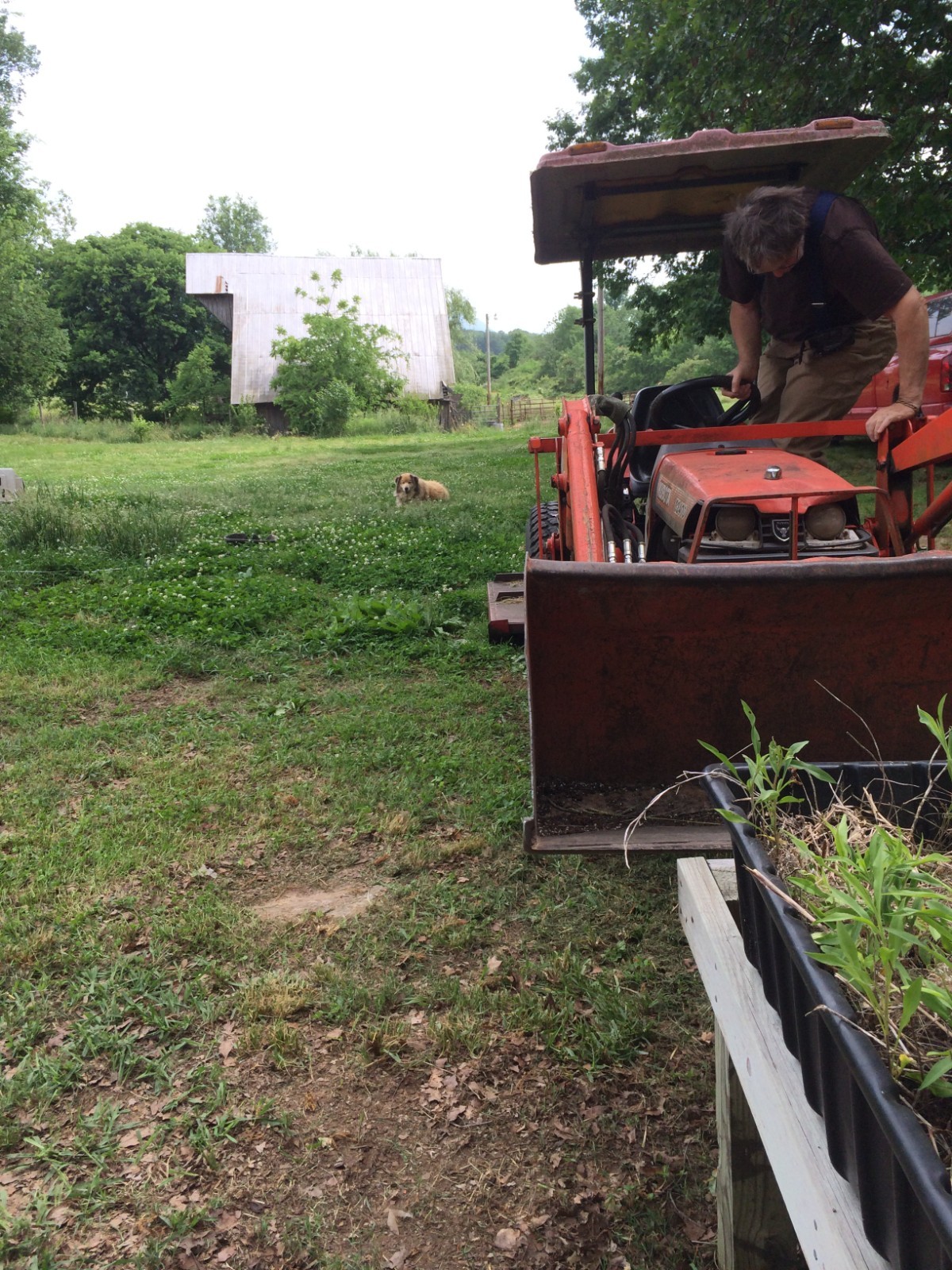 Kubota B2400 Tractor and LA351 Front end Loader plus