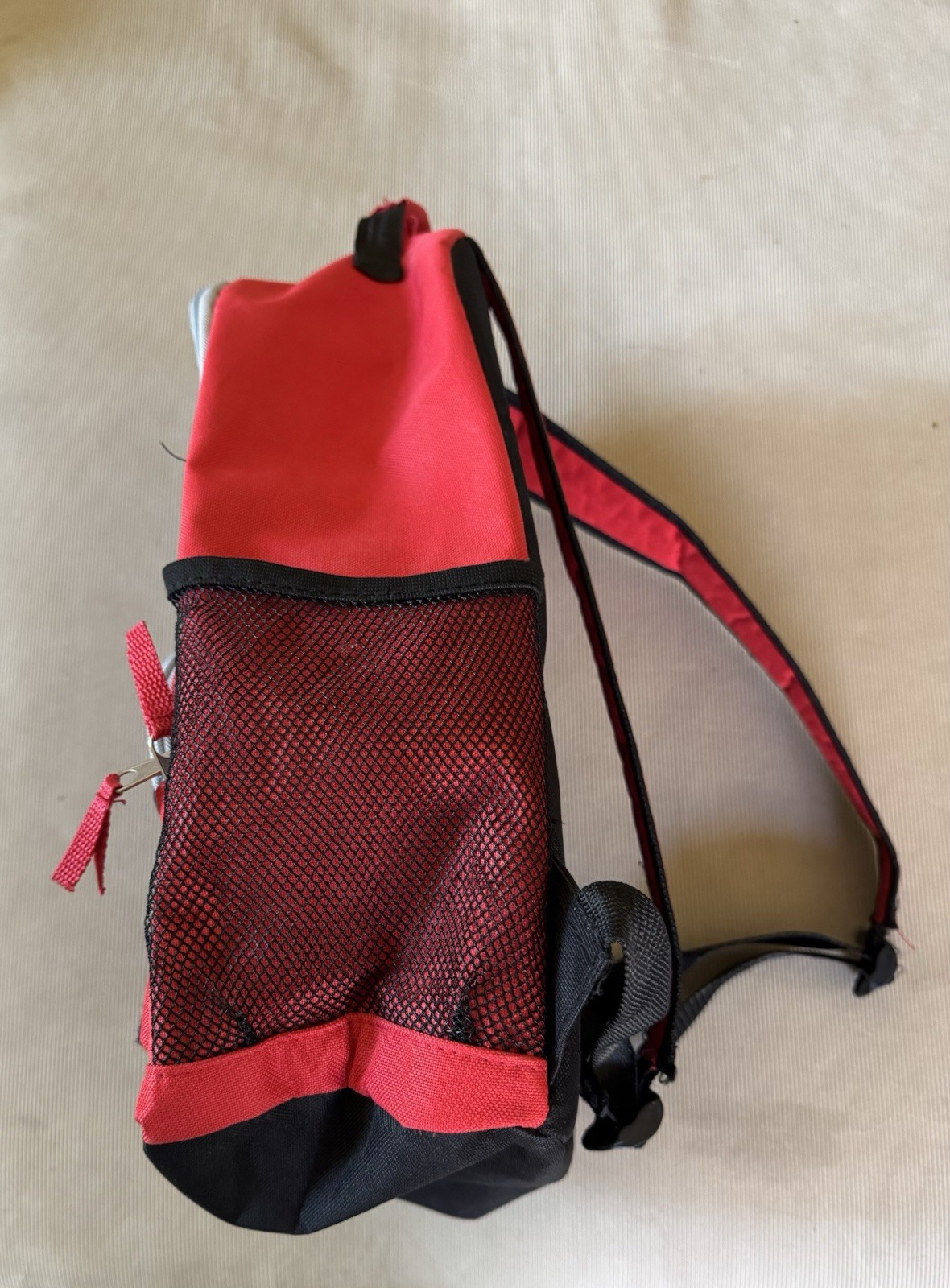 Boston RedSox Backpack
