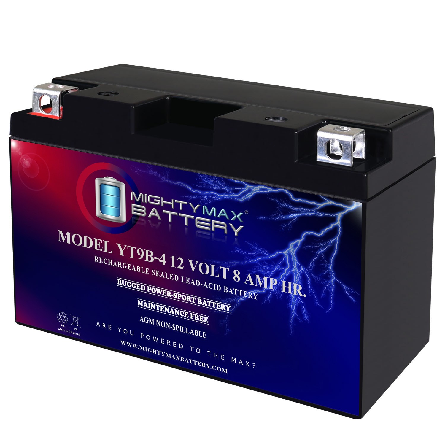 Mighty Max YT9B-4 12V 8Ah AGM Battery Replaces Yamaha YFM700R Raptor  ATV 06-23