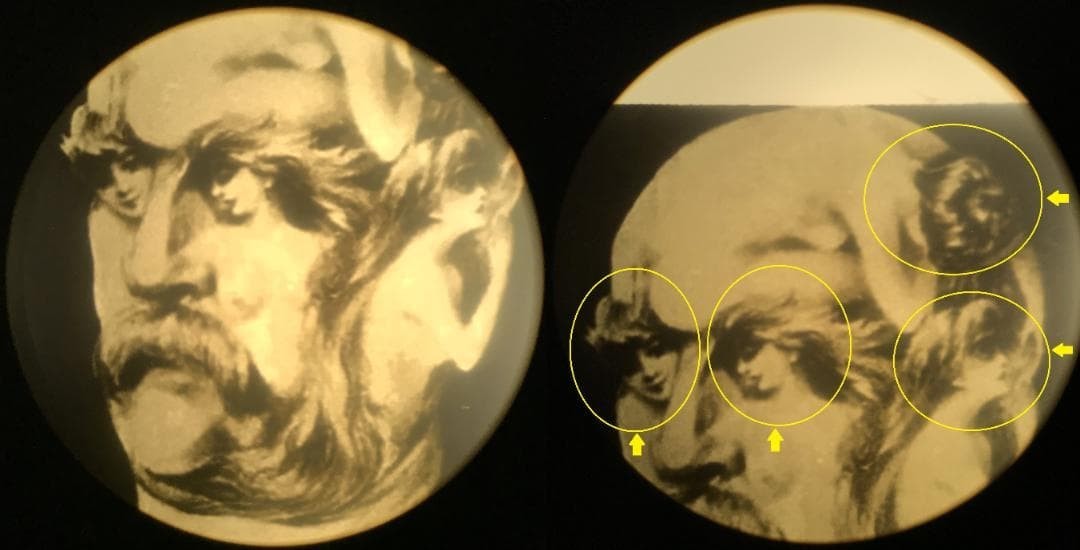 Antique Microscope Slide Set Metamorphic Bismarck Bernhardt Picasso Wagner c2001