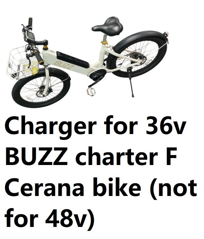 🔥Battery charger for 36v BUZZ charter F Cerana bike (not for 48v)