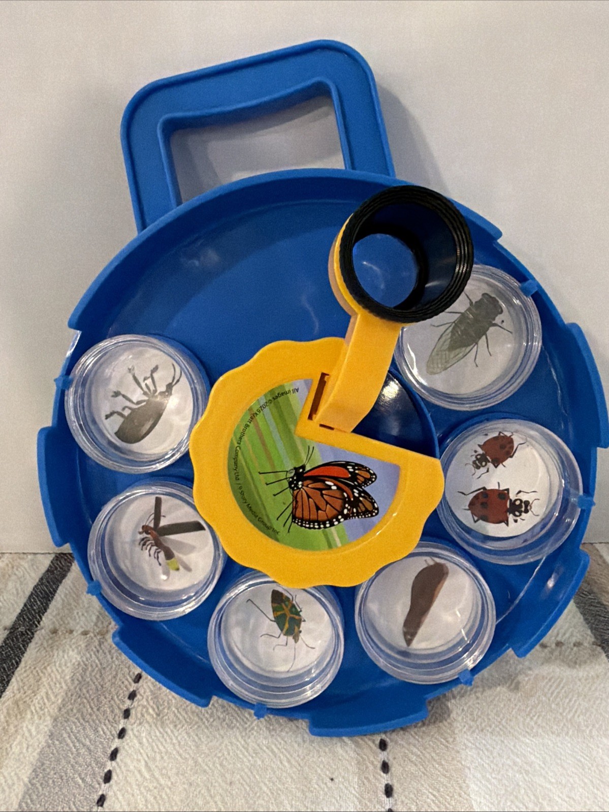 PBS Wild Kratts Bug Viewing Kit