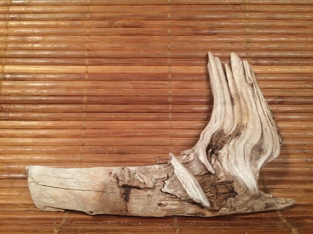 Beautiful 5" DRIFTWOOD Piece Art Terrarium Taxidermy Aquarium  Reptile DECOR