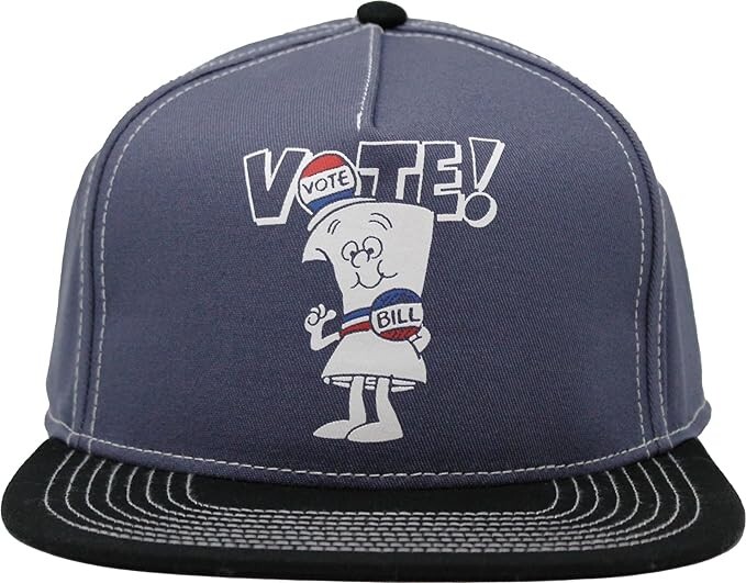 School House Rock Vote Hat - I'm Just a Bill - Brand New Snapback