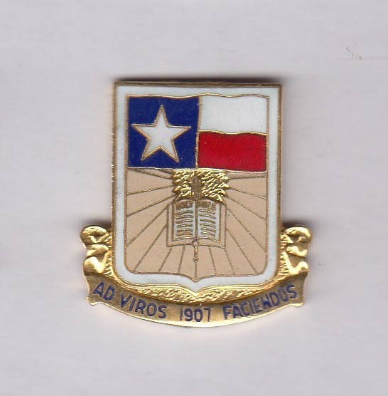 US Army JROTC San Marcos High School TX crest DUI badge 3-G