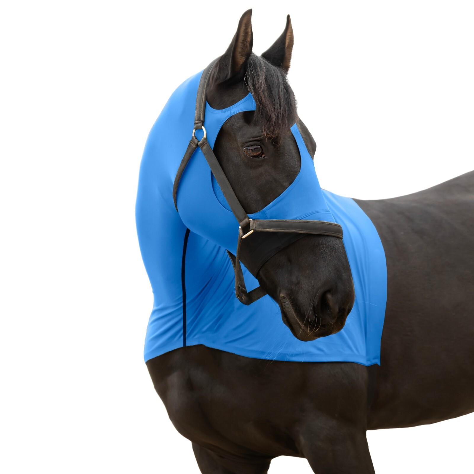 Premium Horse Hood Full Zipper with Face w Forelock Saver, Horse Care Sheet