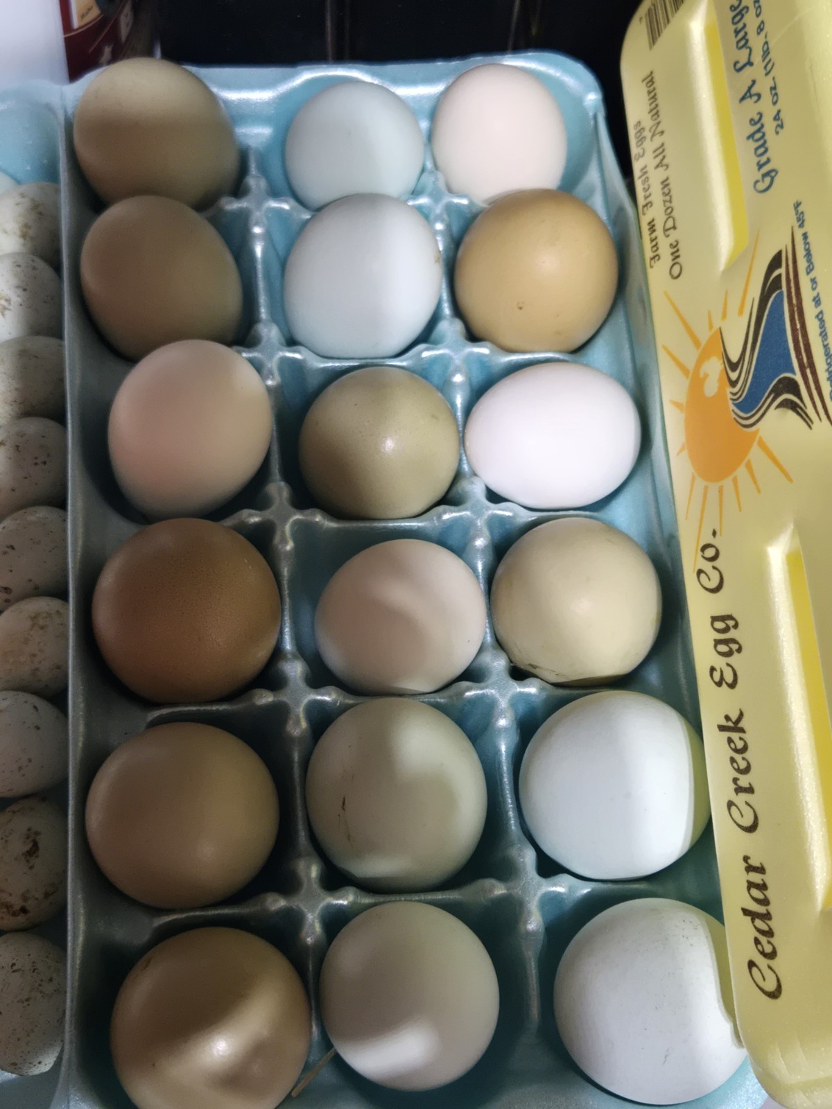 Variety Pack Fertile Hatching Eggs