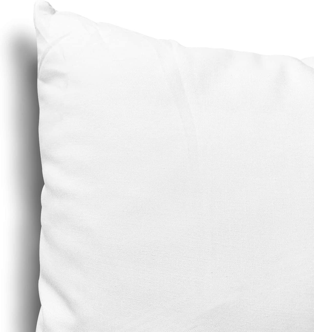 EDOW Throw Pillow Inserts, Set of 2 Lightweight down Alternative Polyester Pillo