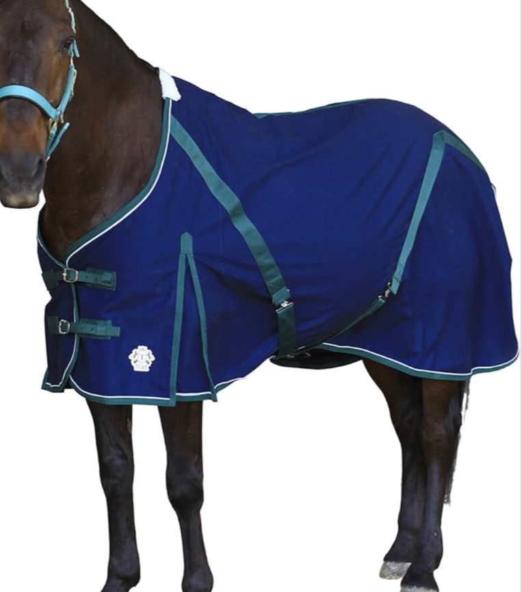 T TEKE New Deluxe Horse Canvas Sheet for Snug & Clean in Stable, orBlanket Sz 81