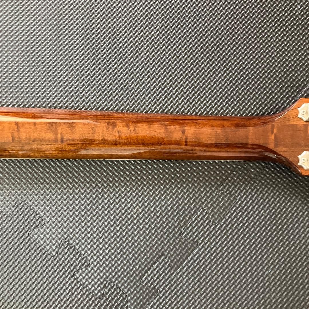 History Gh-Sa Timeless Timber 02